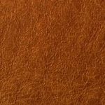 Ocre