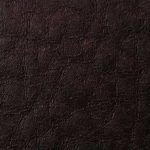 Purpura