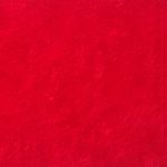 Pretenciosa-Rojo