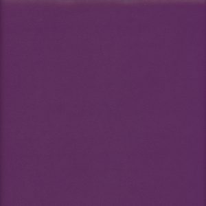 INVICTUS-MORADO