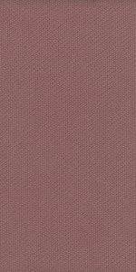 Boreal_Coral