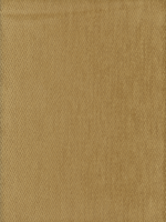 CARAMELO_OCRE