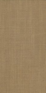 JAIPUR-BRONCE