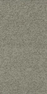 Stone_Salvia
