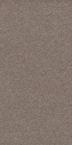 Stone_Vison