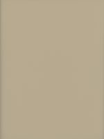Titan_Beige