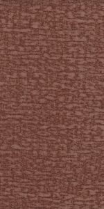 Tokay_Coral
