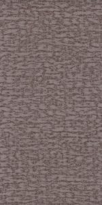 Tokay_Gris